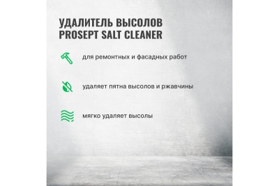 Удалитель высолов PROSEPT SALT CLEANER 5л